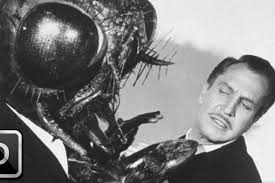 Black And White Horror Movies List 20 Insect Horror Movies You Can Stream On Netflix Netflix Streaming Horror Movies Movies