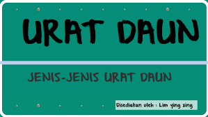 Tumbuhan bunga matahari memiliki daun berjenis tunggal yang berbentuk menyerupai jantung. Jenis Urat Daun By Yingxing Lim