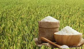Tiếp tục xu hướng giảm - Bạc Liêu