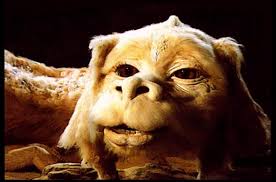 Find deals on products in family dvds on amazon. My Girlfriend S Dog Kinda Looks Like Falkor The Luckdragon From The Neverending Story Still No Job