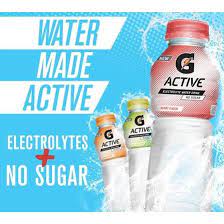 Electrolytes for taste, ionized hydration, ph 9.5 or higher. Keto Friendly G Active Electrolyte Water Drink 500ml Best For Active Keto People Shopee Philippines