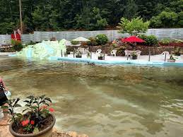 This video is about gohan bistro and umami restaurant in fayetteville north carolina. Water Park Sun Crest Water Park Reviews And Photos 6806 All Healing Springs Rd