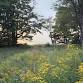 Sunset Wellness Walk