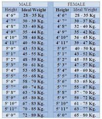 ideal height and weight chart powcast sports