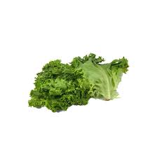Image result for Lettuce Green 1983 Hussmann