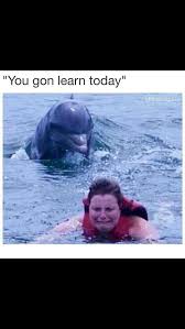 New Day New Adventures New Funny Memes Funny Memes Comebacks Funny Pictures