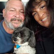 Lost white mini poodle in West Seattle