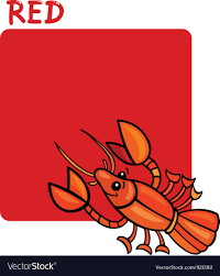 Color Red And Crayfish Cartoon