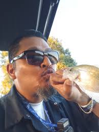 We have WILD SHINERS!!! Fish Candy Bait and Tackle