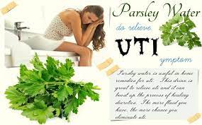 Pin On Natural Cure For Uti