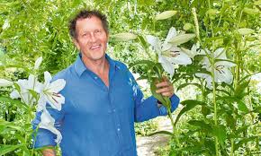 Oriental carpet border illustrations & vectors. There S A Lily To Suit Almost Any Soil Or Colour Scheme Says Monty Don Daily Mail Online
