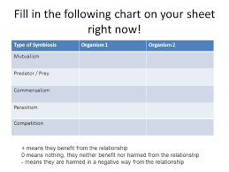 19 Explanatory Druid Symbiosis Chart