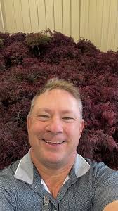 Costco has these beauties! #cantresistaplant