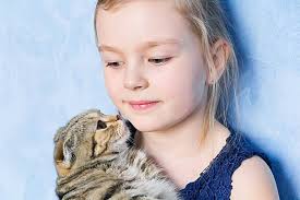 22,531 Preschool Block Center Photos, Pictures And Background Images For  Free Download