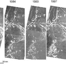 Sensational janine (aka josefine mutzenbacher. Pdf Agriculture Expansion And Deforestation In Seasonally Dry Forest Of North West Argentina