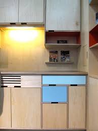 Kerf Custom Fsc Certified Plywood Cabinets Furniture Plywood Kitchen Minimalist Kitchen Design Plywood Cabinets