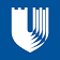 Duke Health logo