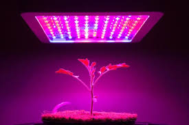 The Best 1000 Watt Led Grow Lights 2019 Reviews Guide