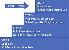 Step 1 & 2 analgesics. Expanded 4 Step Analgesic Ladder Download Scientific Diagram