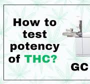 How to test potency of THC? GC or HPLC?
