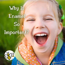 Bee Kidds Pediatric Dentistry