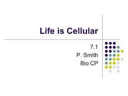 Eukaryotic cells are more complex than prokaryotic cells and have more structures that can take in the stains. Lesson Overview 7 1 Life Is Cellular Ppt Video Online Download