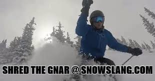 Shred The Gnar Meaning And Origin Of The Saying Learn More At Snowslang Com Skiing Snowboarding Gif Meant To Be Snowboarding Snow Sports
