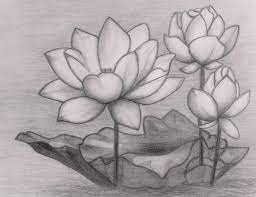 Bagaimana untuk membuat sketsa bunga matahari? 39 Gambar Sketsa Bunga Indah Sakura Mawar Melati Matahari Anggrek Teratai