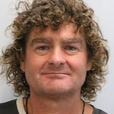 Professional Arborists in Tauranga