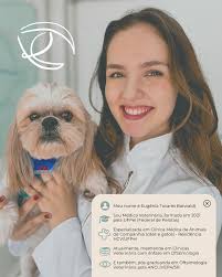 Sig hoje recebeu título de 🌈CARAMELO ALTRUÍSTA🌈 Doando sangue pra outro  AUmigo que precisava! Fofura 🤏 #doesangue