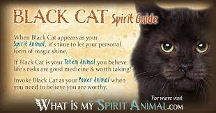 Black Cat Symbolism Meaning Black Cat Spirit Totem Power Animal Cat Symbolism Cat Spirit Power Animal