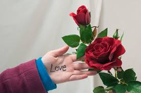 The flower is also believed to be an aphrodisiac with the ability to boost romance. What S In A Flower Meanings And Messages Behind The Bouquet Byu I Scroll
