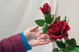 A white chrysanthemum symbolizes truth and loyal love while a. What S In A Flower Meanings And Messages Behind The Bouquet Byu I Scroll