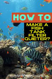 How To Make A Fish Tank Filter Quieter Fish Tank Sound Proofing Soundproofing Diy