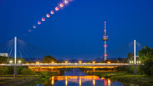 Haleigh cox desnuda the lady showed up very soon & reclined