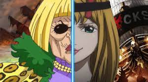 THE MISS BAKKIN CONSPIRACY | One Piece Theory - YouTube