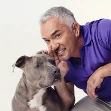 We did not find results for: 7rrs52mrcflerm