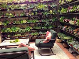 Pin On Container Gardening