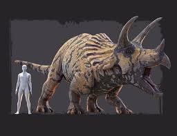 Hh Triceratops 3d Models And 3d Software By Daz 3d Prehistoric Animals Prehistoric Wildlife Ancient Animals