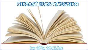 This spm pertengahan tahun paper is provided by majlis pengetua sekolah malaysia (mpsm) kedah. Collection Of Biology Hots Question Koleksi Soalan Kbat Bio Book Clip Art Open Book Clip Art