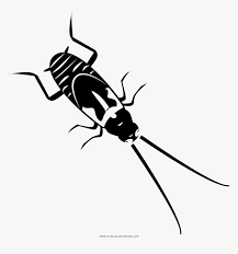 Color in this picture of a longhorn cowfish and others with our library of online coloring pages. Cockroach Coloring Page Longhorn Beetle Hd Png Download Kindpng