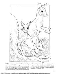 Ebook Baby Animals Coloring Book 2 Ebook Anak