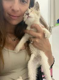 Oasi ohana: i pelosi di...