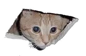 An he maded a 9: Ceiling Cat Blank Template Imgflip