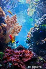 We did not find results for: Matthew Rampy Mcrampy71 Profile Pinterest