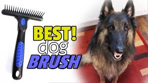 It reduces shedding by 90% and helps control your labradors undercoat during shedding season. Best Dog Brush For Long Hair Top Dog Brushes Youtube