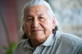 Indigenous Success Stories