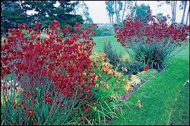Gorgeous Garden Border Design Ideas For Any Yard In The West Sunset Sunset Magazine