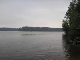 Щучье (озеро, Комарово) — Википедия