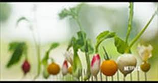 Fwx Exclusive Dan Barber On Chef S Table Chefs Table Dan Barber Chef